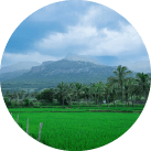 tenkasi